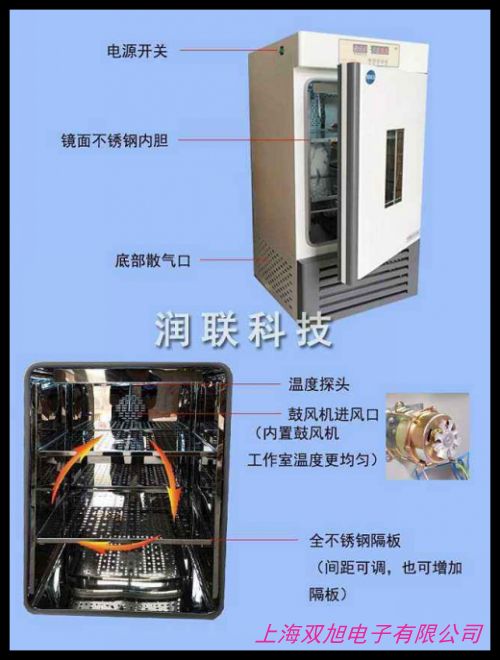 經(jīng)濟(jì)款數(shù)顯恒溫恒濕培養(yǎng)箱