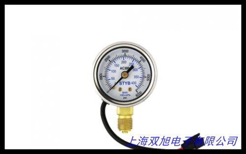 自主產(chǎn)品 SM-D1000-XX/ZB 壓力表 電接點壓力表