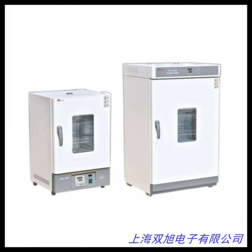 專業(yè)定制熱風(fēng)循環(huán)加熱烘箱 工業(yè)電熱恒溫干燥焊劑烘干箱 鼓風(fēng)烘箱