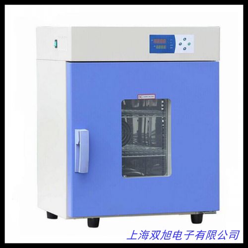 大型立式鼓風(fēng)干燥箱 常規(guī)恒溫烤箱 鼓風(fēng) 電熱 循環(huán)工業(yè)烤箱